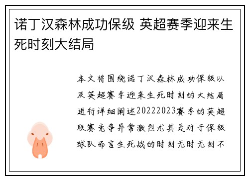 诺丁汉森林成功保级 英超赛季迎来生死时刻大结局
