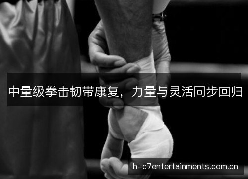 中量级拳击韧带康复,力量与灵活同步回归 中量级拳击韧带康复,力量与灵活同步回归